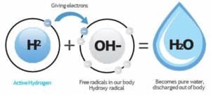 Mechanizm działania wodoru cząsteczkowego H2 - wolne rodniki